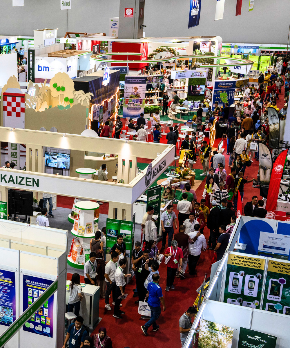 Untitled design (24)